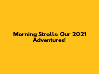 Morning Strolls: Our 2021 Adventures!