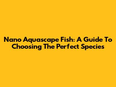 Nano Aquascape Fish: A Guide To Choosing The Perfect Species