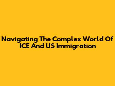Navigating The Complex World Of ICE And US Immigration