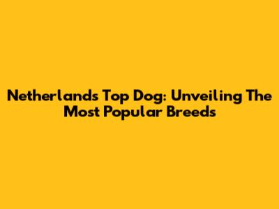 Netherlands' Top Dog: Unveiling The Most Popular Breeds