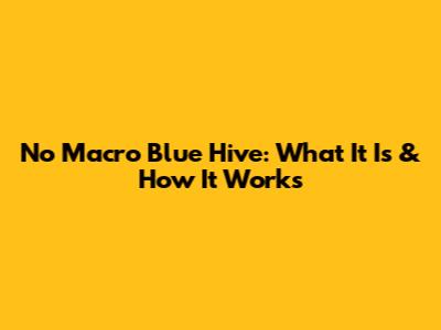 No Macro Blue Hive: What It Is & How It Works