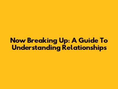 Now Breaking Up: A Guide To Understanding Relationships