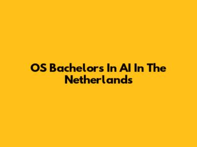 OS Bachelor's In AI In The Netherlands