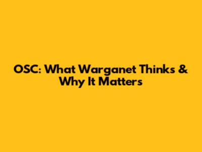 OSC: What Warganet Thinks & Why It Matters