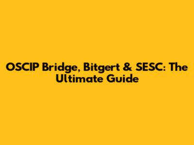 OSCIP Bridge, Bitgert & SESC: The Ultimate Guide