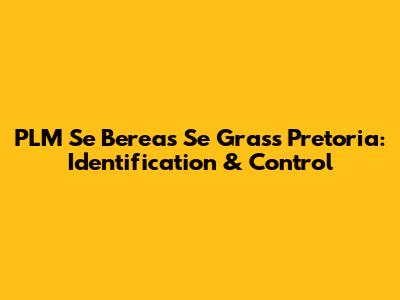 PLM Se Berea's Se Grass Pretoria: Identification & Control