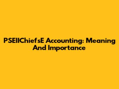 PSEIIChiefsE Accounting: Meaning And Importance