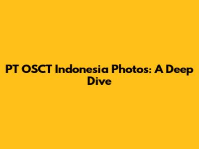 PT OSCT Indonesia Photos: A Deep Dive