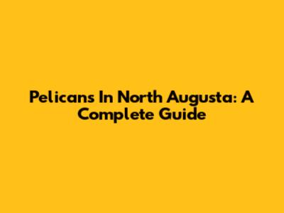 Pelicans In North Augusta: A Complete Guide