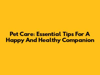 Pet Care: Essential Tips For A Happy And Healthy Companion