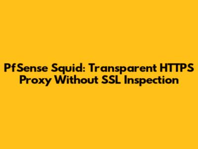 PfSense Squid: Transparent HTTPS Proxy Without SSL Inspection