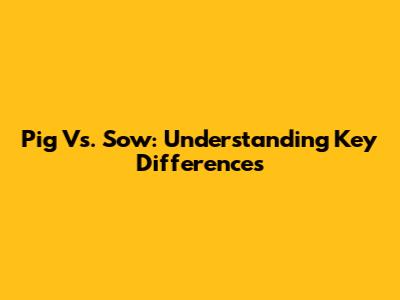 Pig Vs. Sow: Understanding Key Differences