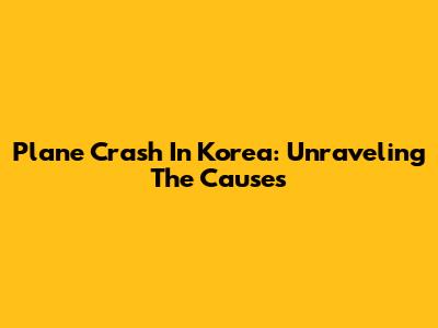Plane Crash In Korea: Unraveling The Causes