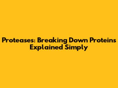 Proteases: Breaking Down Proteins Explained Simply