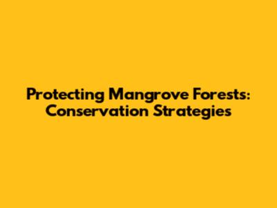 Protecting Mangrove Forests: Conservation Strategies