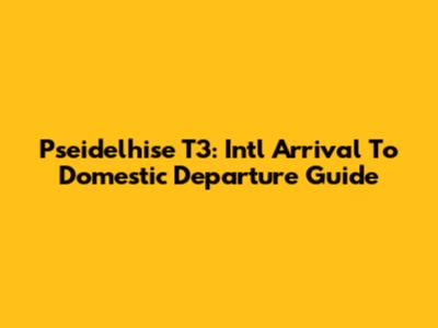 Pseidelhise T3: Int'l Arrival To Domestic Departure Guide