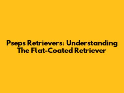 Pseps Retrievers: Understanding The Flat-Coated Retriever