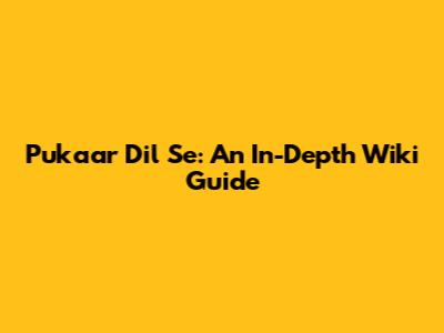 Pukaar Dil Se: An In-Depth Wiki Guide