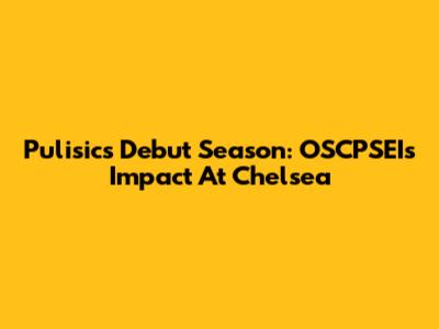 Pulisic's Debut Season: OSCPSEI's Impact At Chelsea