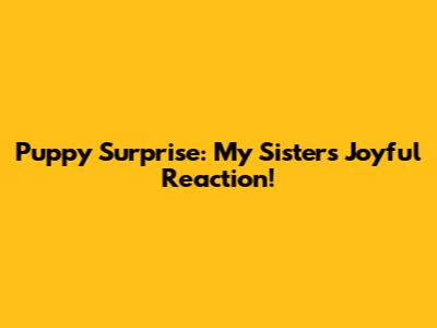 Puppy Surprise: My Sister's Joyful Reaction!