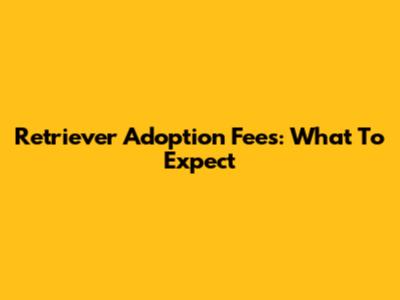 Retriever Adoption Fees: What To Expect