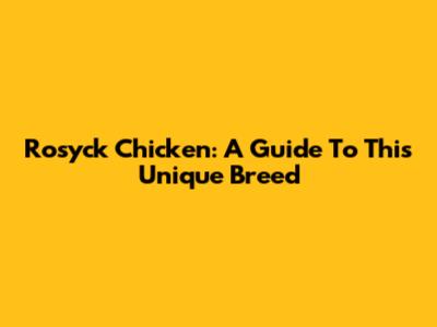 Rosyck Chicken: A Guide To This Unique Breed