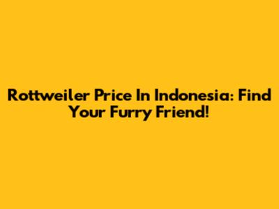 Rottweiler Price In Indonesia: Find Your Furry Friend!