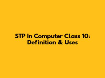 STP In Computer Class 10: Definition & Uses