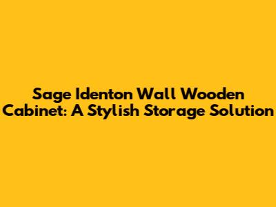 Sage Identon Wall Wooden Cabinet: A Stylish Storage Solution