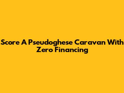 Score A Pseudoghese Caravan With Zero Financing