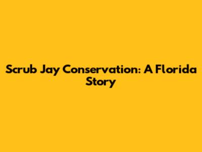 Scrub Jay Conservation: A Florida Story