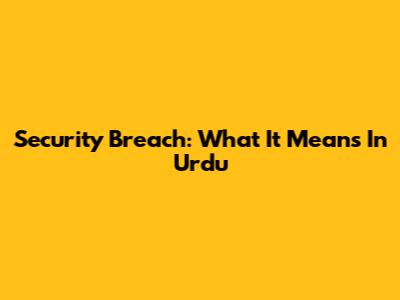 Security Breach: What It Means In Urdu