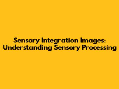 Sensory Integration Images: Understanding Sensory Processing