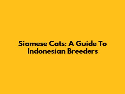 Siamese Cats: A Guide To Indonesian Breeders