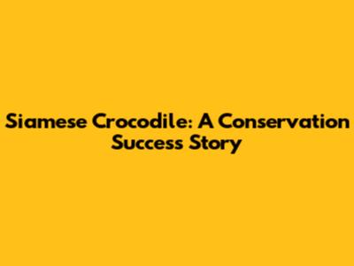 Siamese Crocodile: A Conservation Success Story