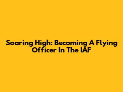 Soaring High: Becoming A Flying Officer In The IAF