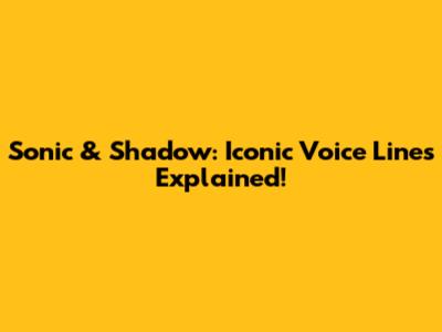 Sonic & Shadow: Iconic Voice Lines Explained!