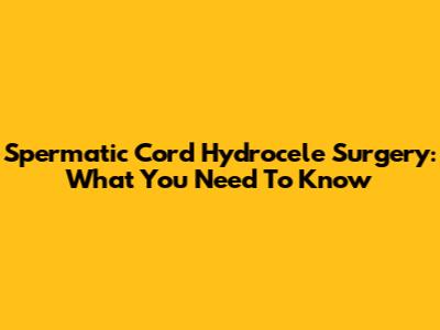 Spermatic Cord Hydrocele Surgery: What You Need To Know