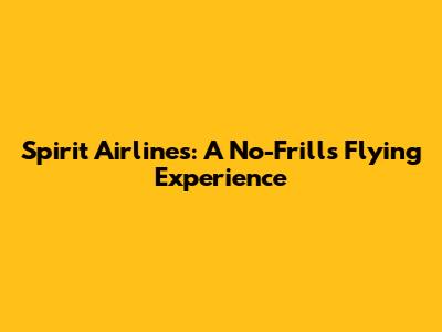 Spirit Airlines: A No-Frills Flying Experience