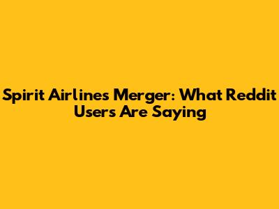 Spirit Airlines Merger: What Reddit Users Are Saying