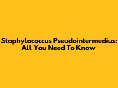 Staphylococcus Pseudointermedius: All You Need To Know