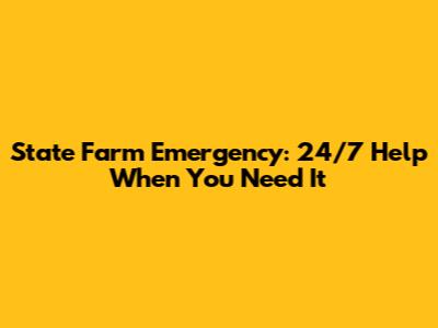 State Farm Emergency: 24/7 Help When You Need It