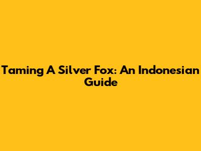 Taming A Silver Fox: An Indonesian Guide