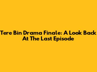 Tere Bin Drama Finale: A Look Back At The Last Episode