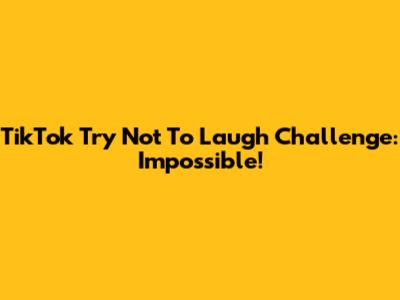 TikTok Try Not To Laugh Challenge: Impossible!