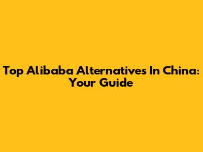 Top Alibaba Alternatives In China: Your Guide