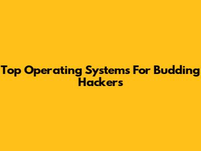 Top Operating Systems For Budding Hackers