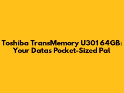 Toshiba TransMemory U301 64GB: Your Data's Pocket-Sized Pal