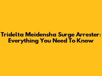 Tridelta Meidensha Surge Arrester: Everything You Need To Know
