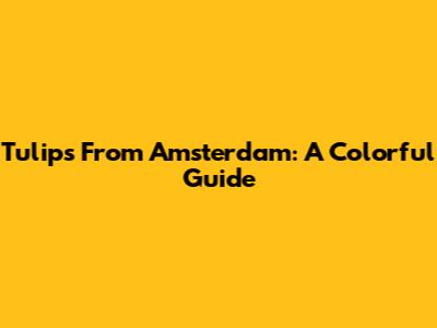 Tulips From Amsterdam: A Colorful Guide